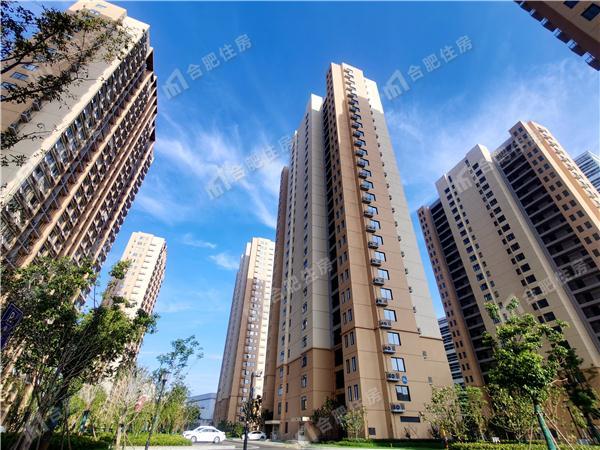 天门湖租赁住房