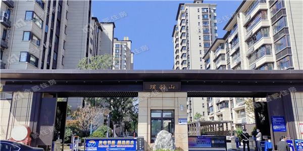 丽丰小区