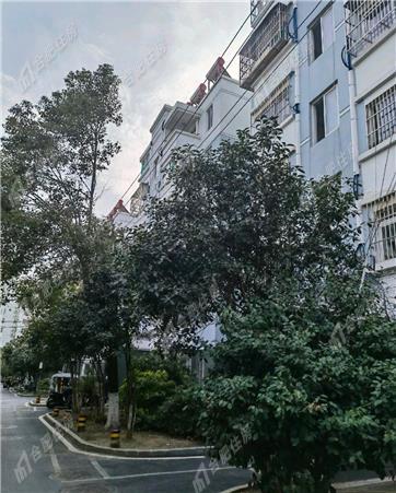 甘泉新村东区1500元/月94.24㎡正南中装
