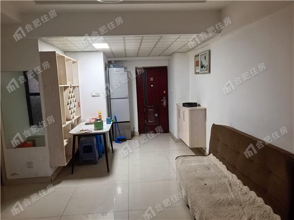 新海尚宸家园(商住楼)47.21㎡中装押一付三