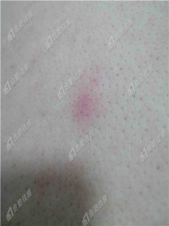 栈塘住宅小区1200元/月69.2㎡正南简装