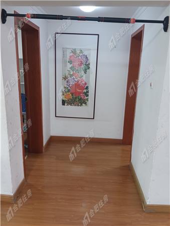 岸上玫瑰押一付三3200元/月