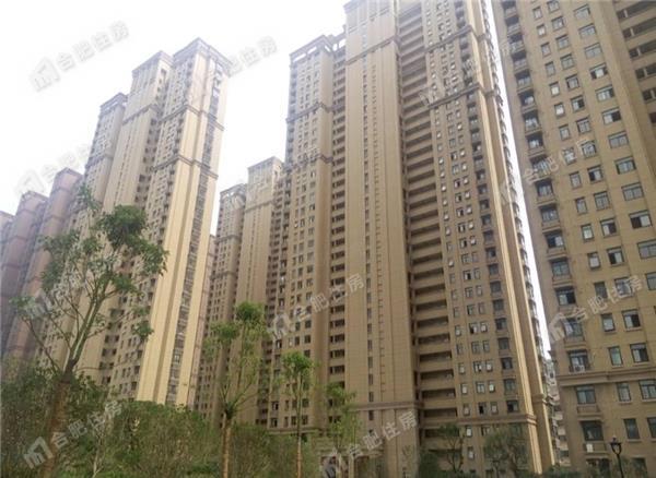 丰大国际88.77平方米整租精装