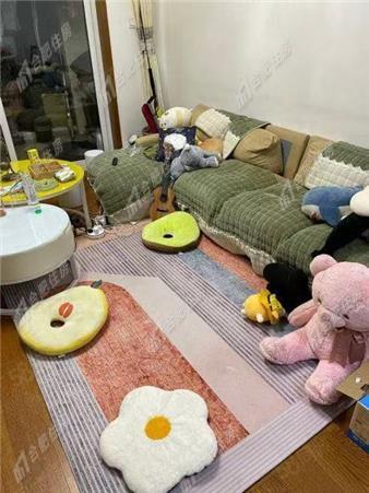 瑶海区二户室75.56平米正南27层