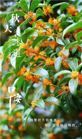 华邦世贸城押一付三3000元/月