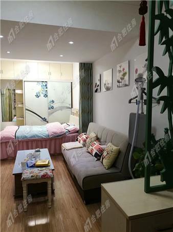 蜀山区一户室40平米正南23层