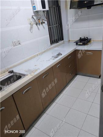 庐阳区海棠别院北区1/1,家电全，电梯房，1100元
