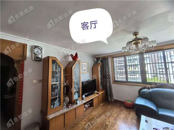 蜀山区三户室126.43平米正南4层