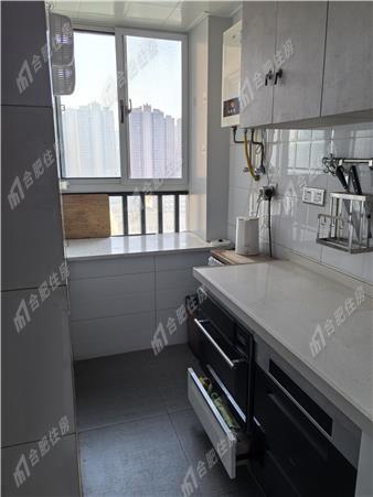滨湖紫辰阁89.84㎡豪装押一付三