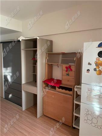 大众时代之光34.3㎡精装整租