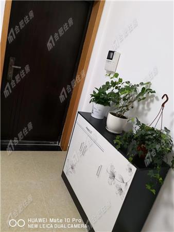 蜀山区西环中心广场南区二户室元