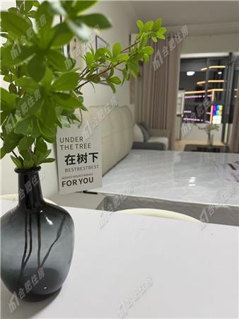 江南新里程43.32平方米整租精装