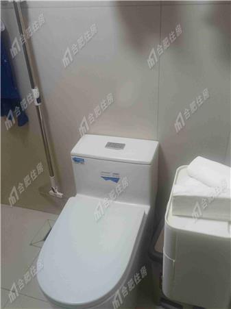 新华学府星座1800元/月43.29㎡正南精装