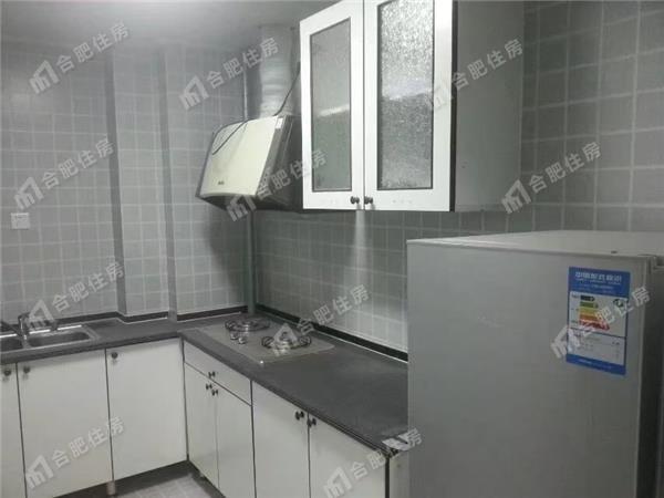 包河区东方广场二户室元