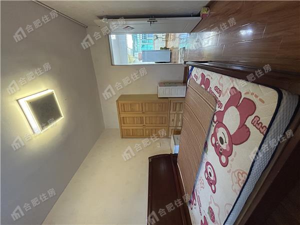 蜀山区二户室53.50平米正南3层