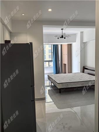 温莎杰座1500元/月50.0㎡正南豪装