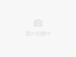 整租· 岸上玫瑰北区 2室1厅 南